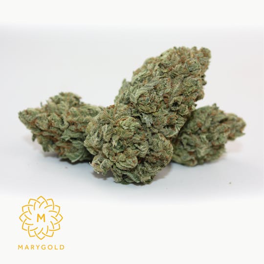 Marygold - Birthday Cake - 1