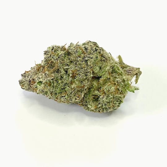 Indico - Black Raspberry - 1