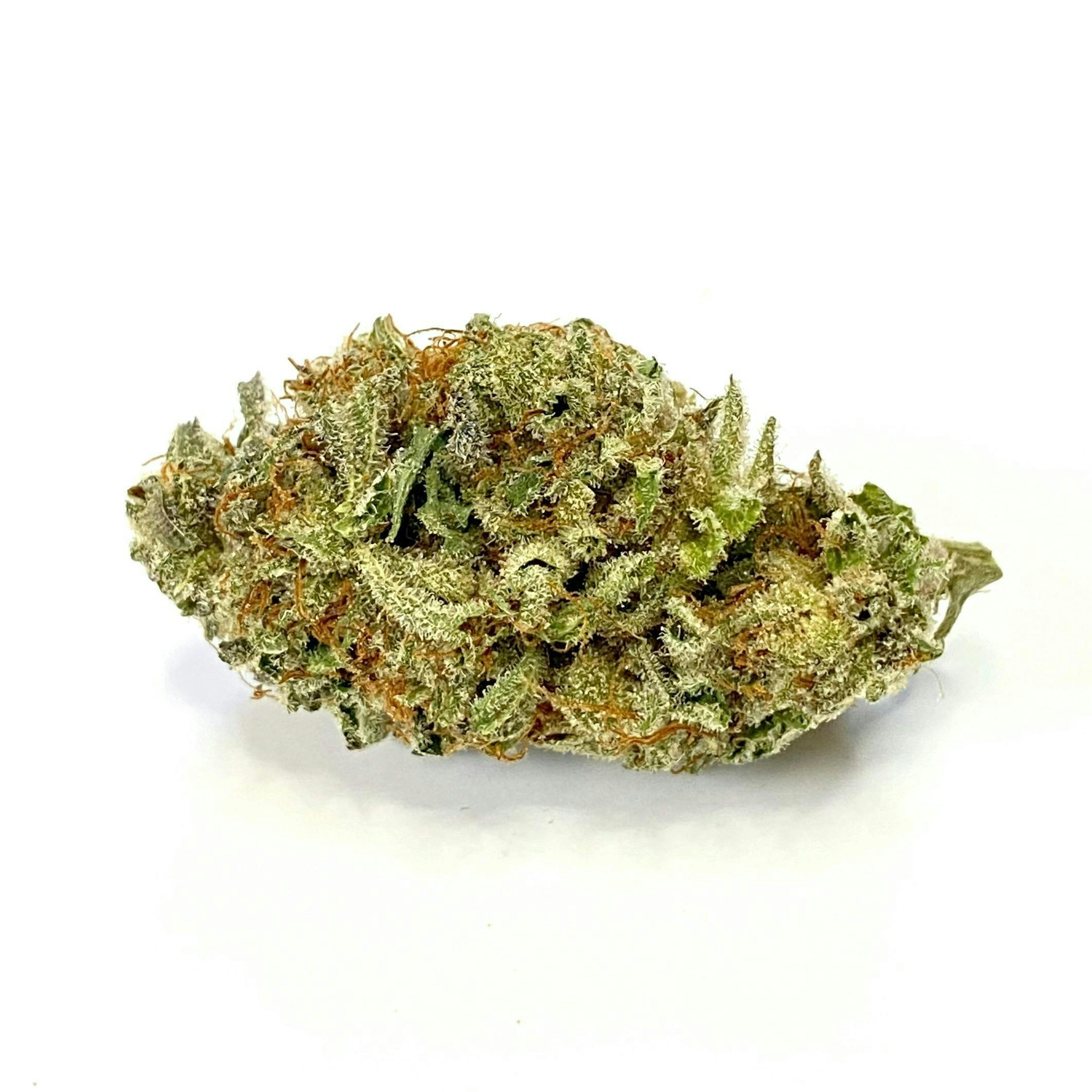 Indico - White Diesel Cream - 1