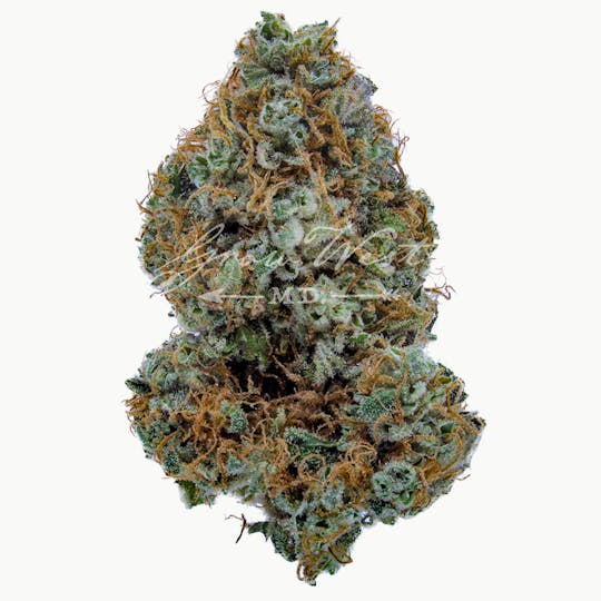 Grow West Cannabis Company - Cambodian Thai x BOEL Skunk | Premium | Hand-Trimmed Flower - 1
