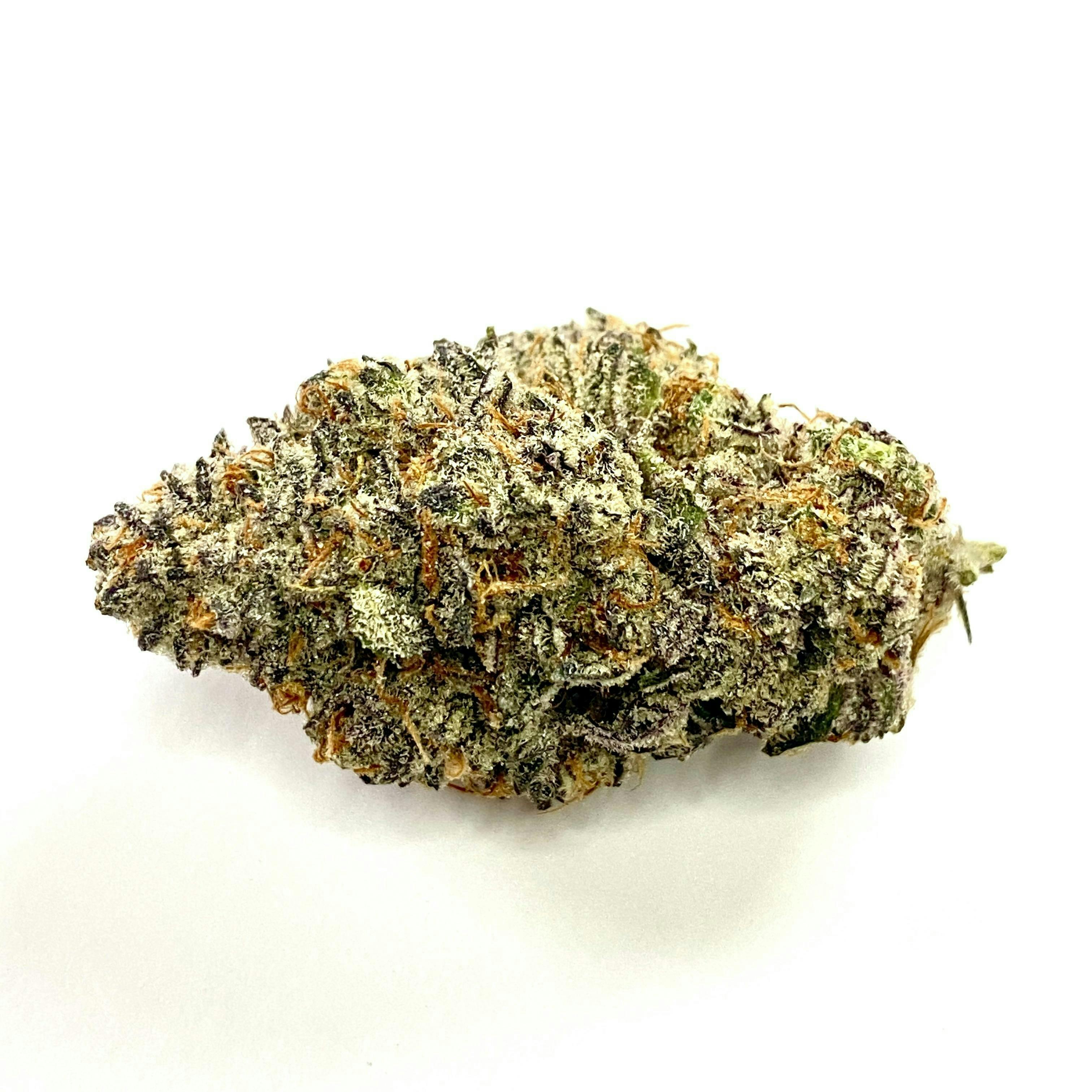 Indico - Do-si-dos 33 - 1