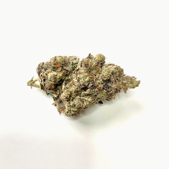 Indico - Double Chocolate Trip - 1