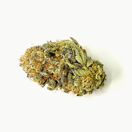 Indico - Honey Tree - 1