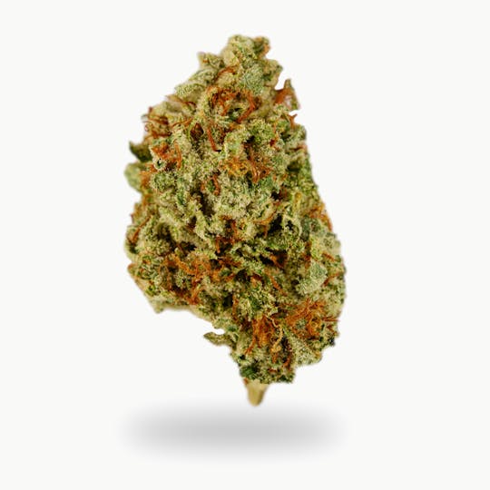 Cypress Cannabis - Cypress Premium | Banana Pudding - 1