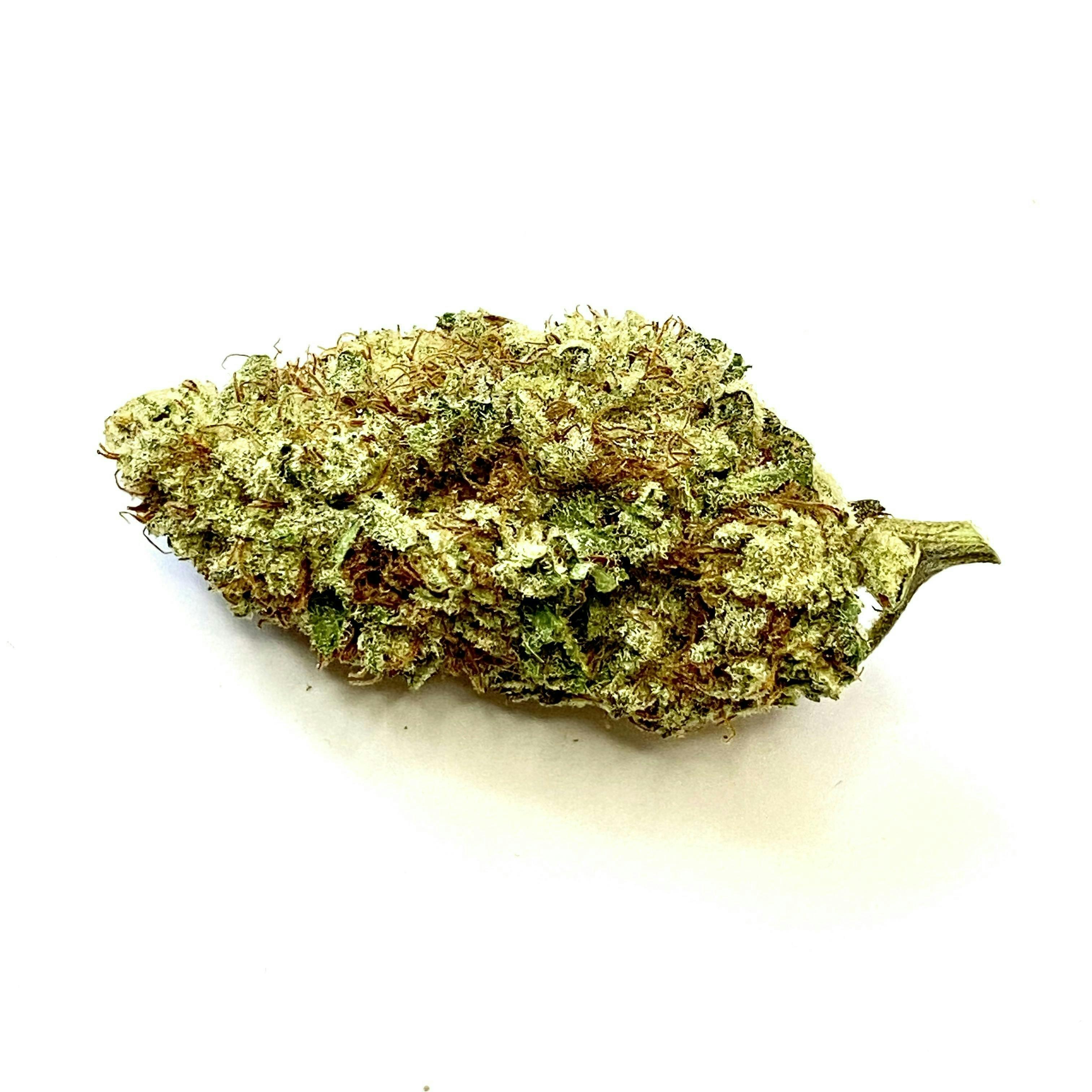 Indico - Black Widow X Wedding Cake - 1