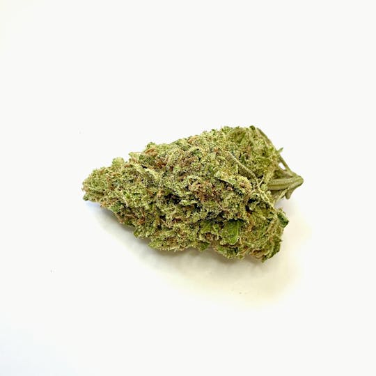Indico - Dream n Sour - 1