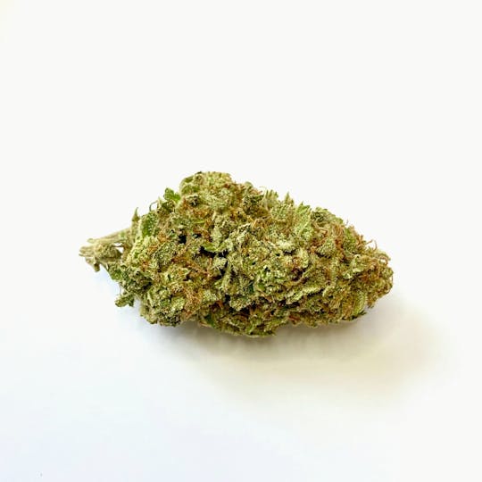 Indico - Afghan Gooey - 1
