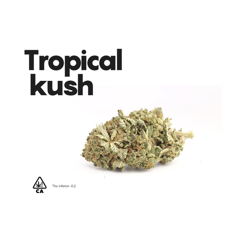 Life CBD - Tropical Kush - 1
