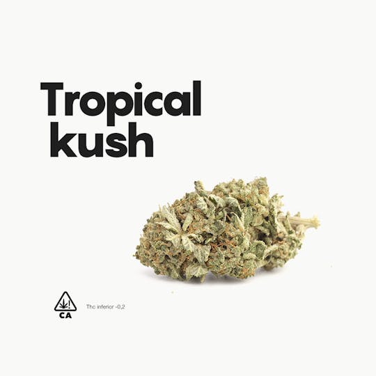 Life CBD - Tropical Kush - 1