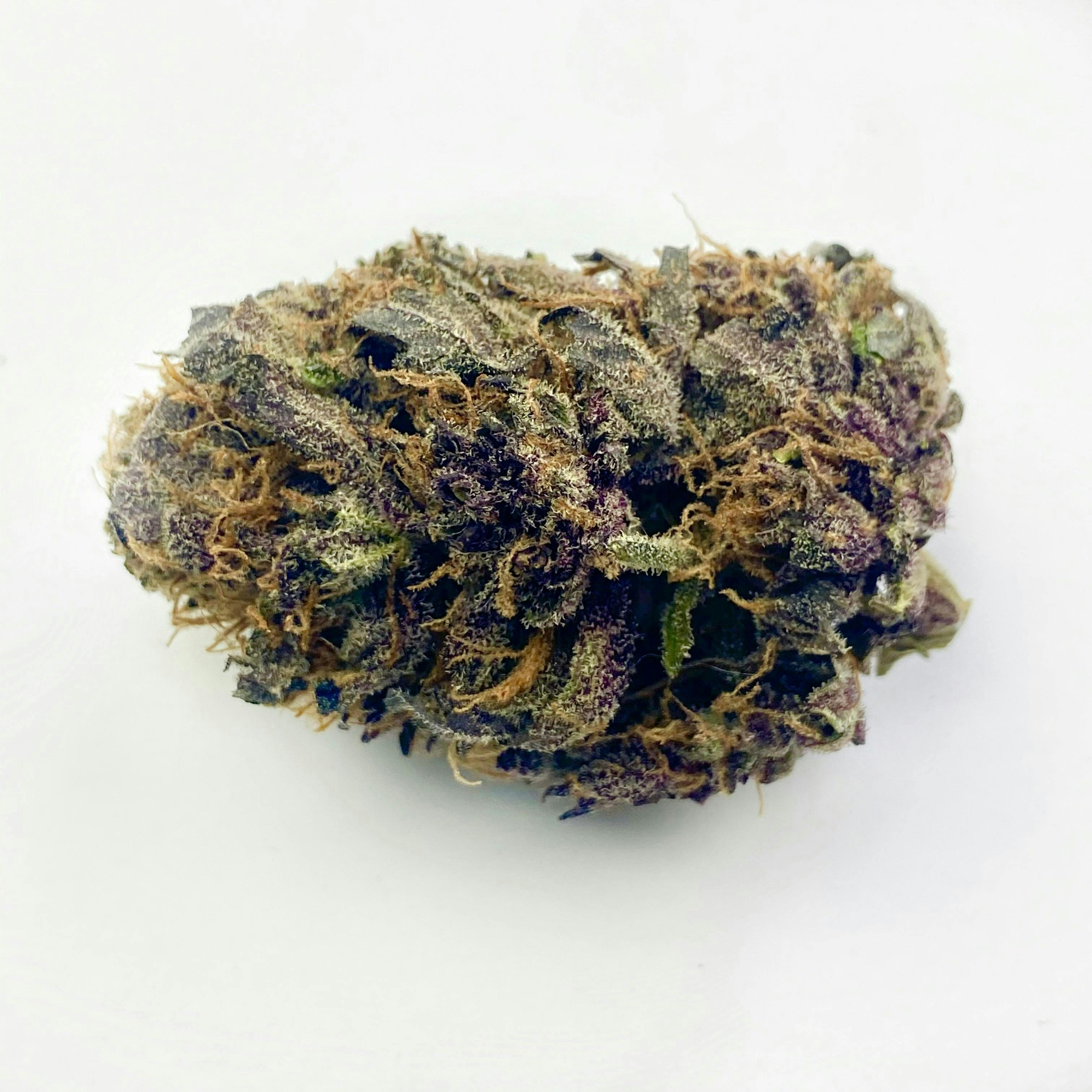 Indico - Purple One - 1