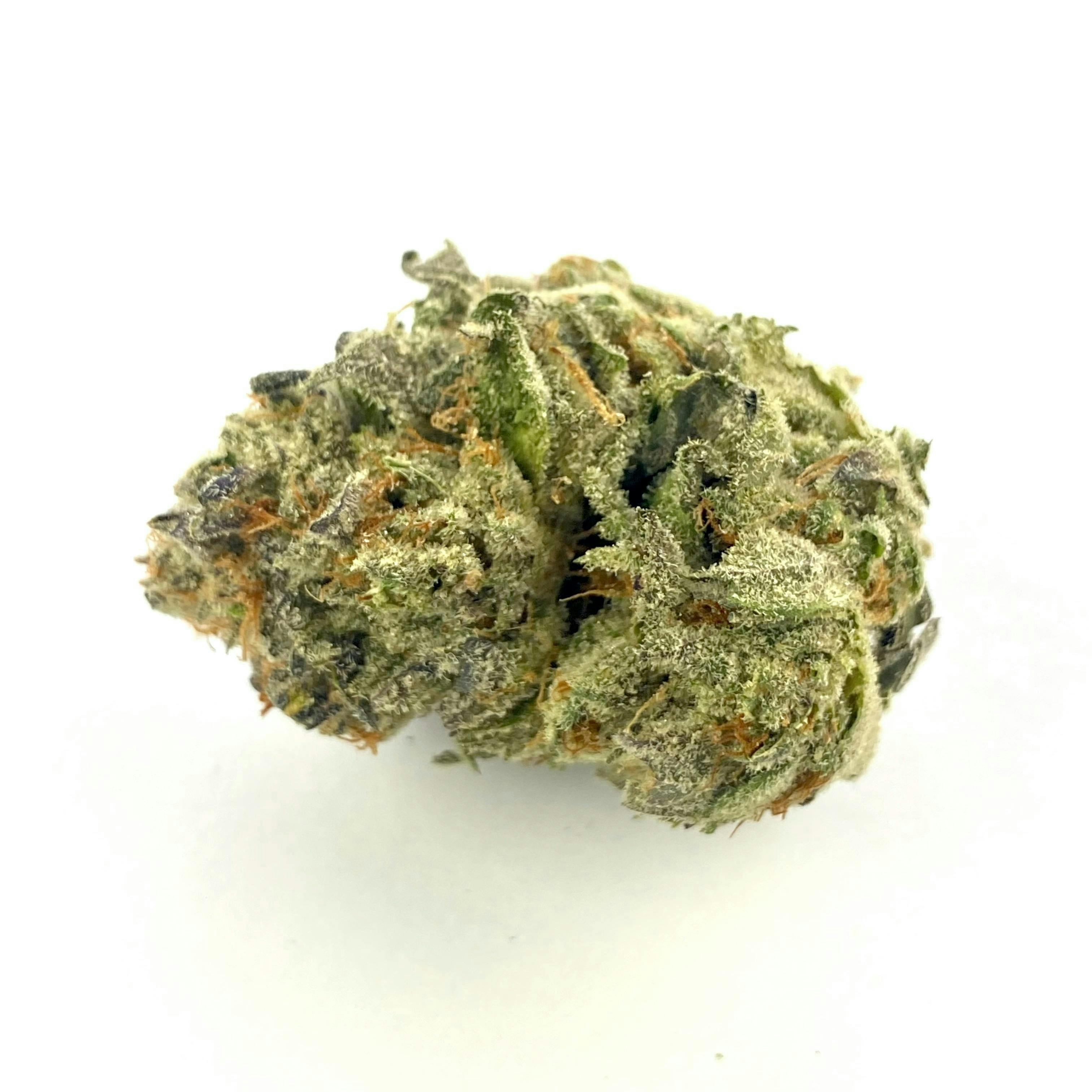 Indico - Double Lights - 1