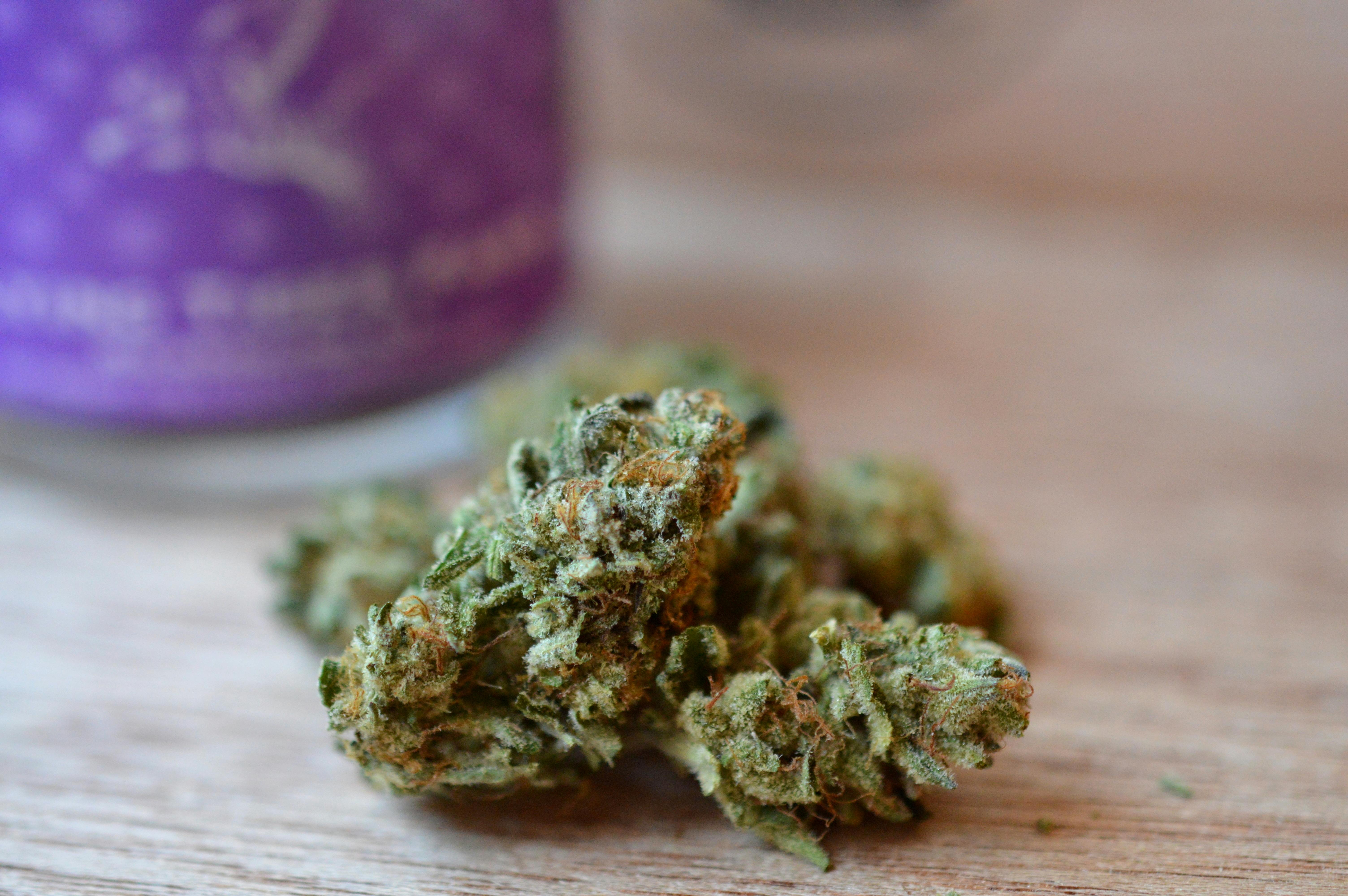 Madrone - Purple Punch 1/8 by Flying Tiger Farm - 1