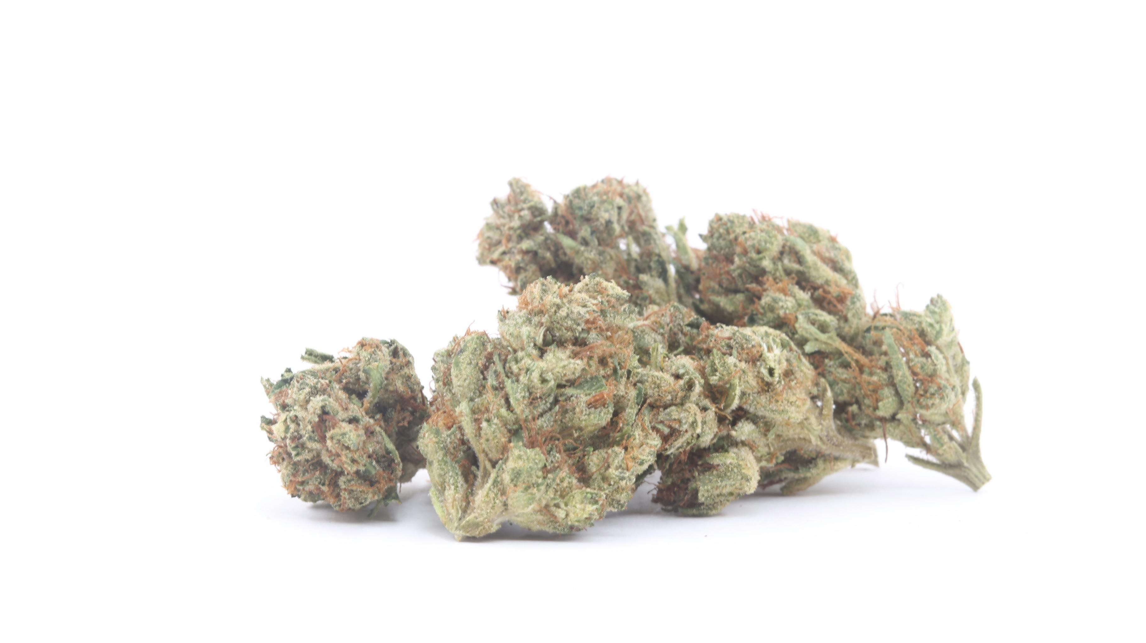 Madrone - Haze OG by Sunspire Farms - 1