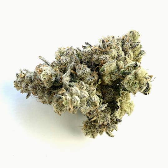 Indico - Grapefruit Gelato - 1