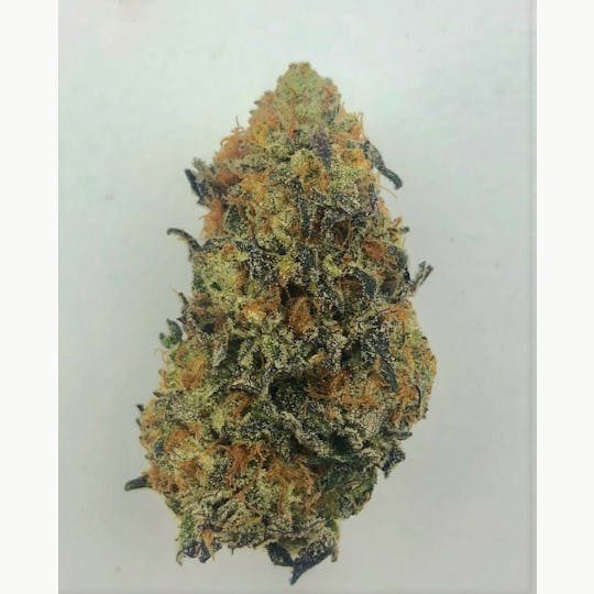 Indico - Cereal Milk - 1