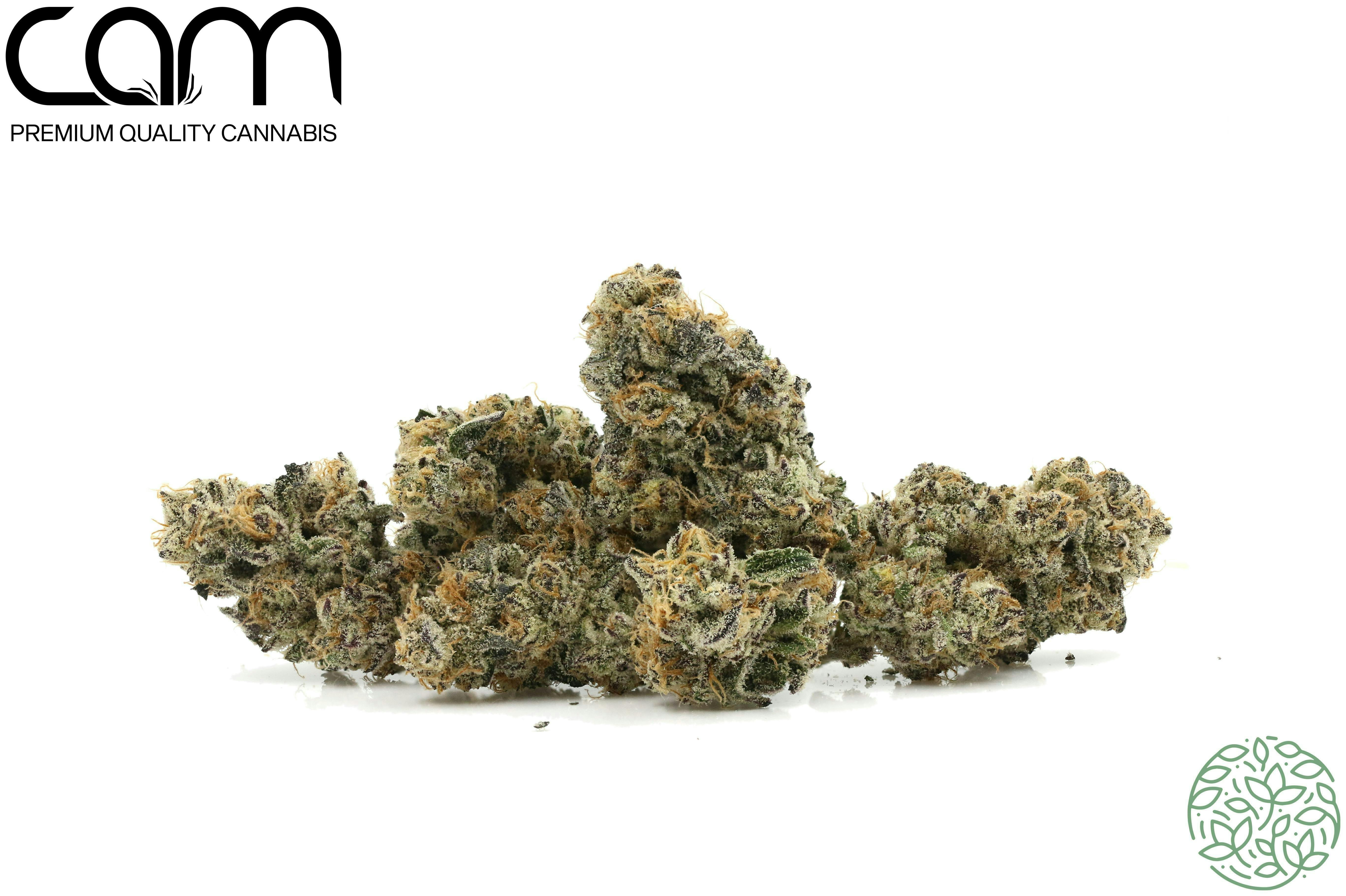 CAM - CAM | G-animals - Indoor (3.5g) - 1