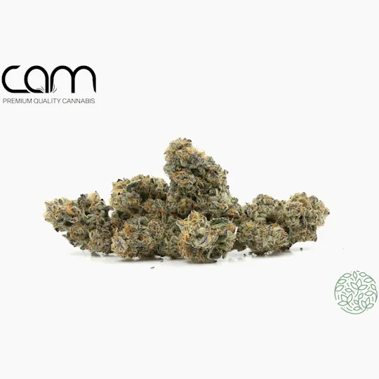 CAM - CAM | G-animals - Indoor (3.5g) - 1