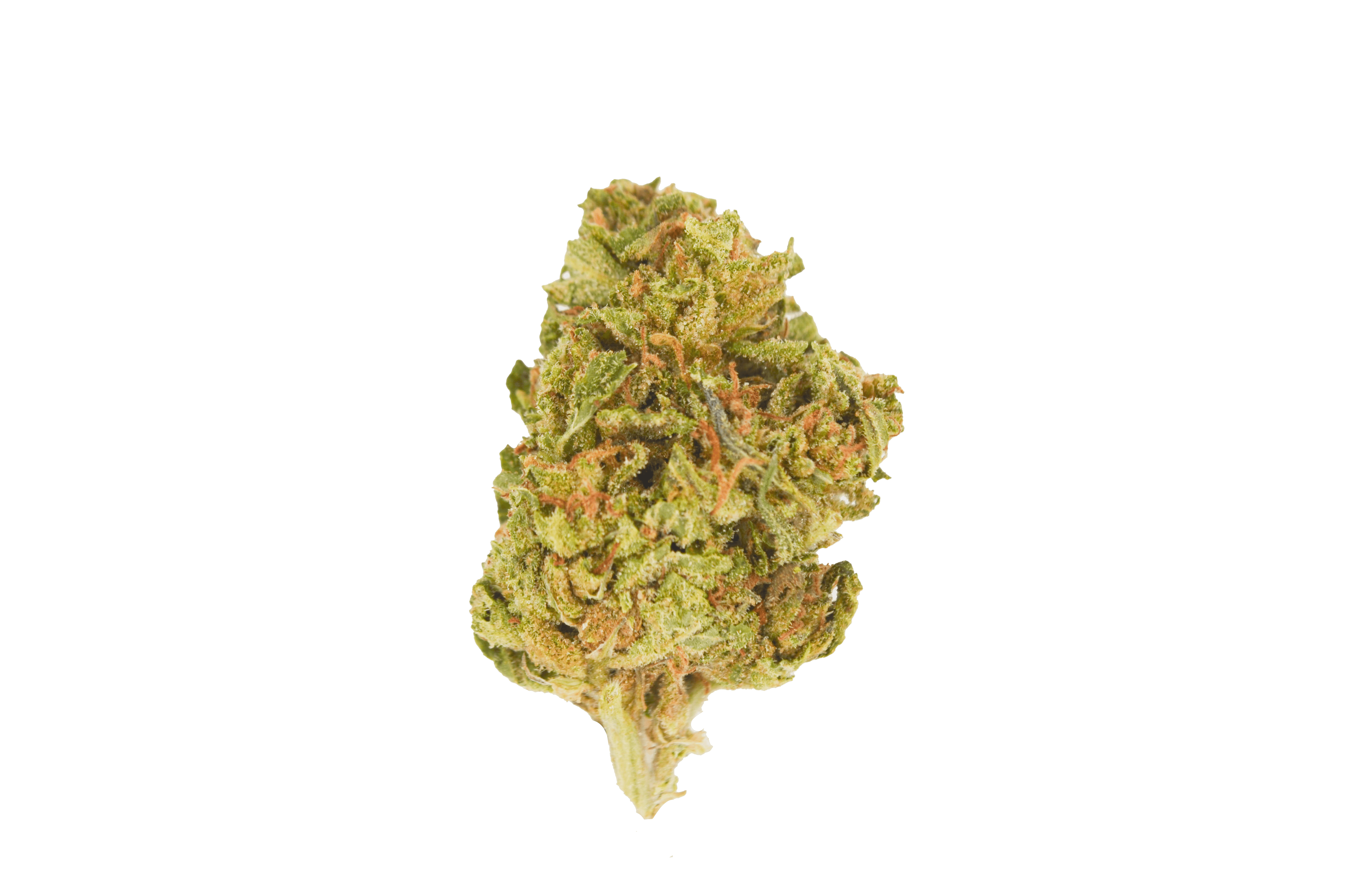 Smoakland - Smoakland BLACK | Cali Cookies | Big Buds | 14g - 1