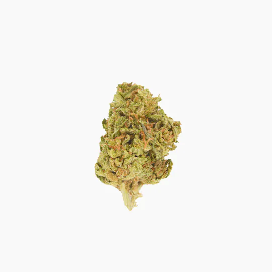 Smoakland - Smoakland BLACK | Cali Cookies | Big Buds | 14g - 1