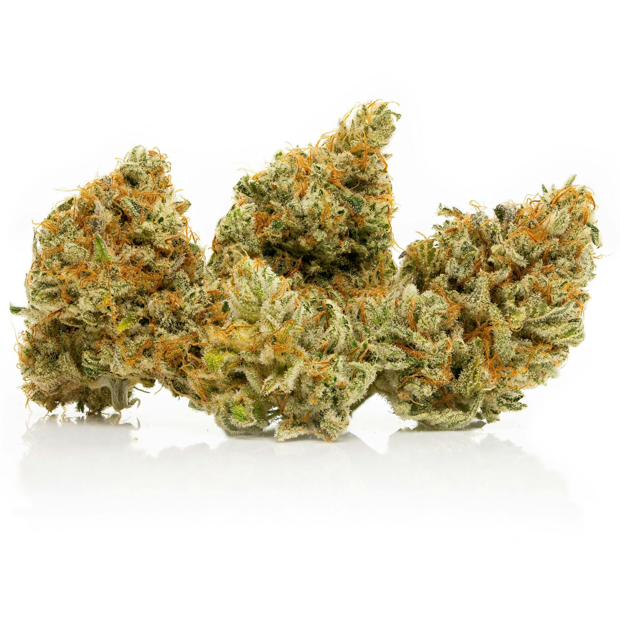 SAVAGE - Chemistry Indoor Flower by SAVAGE - 1