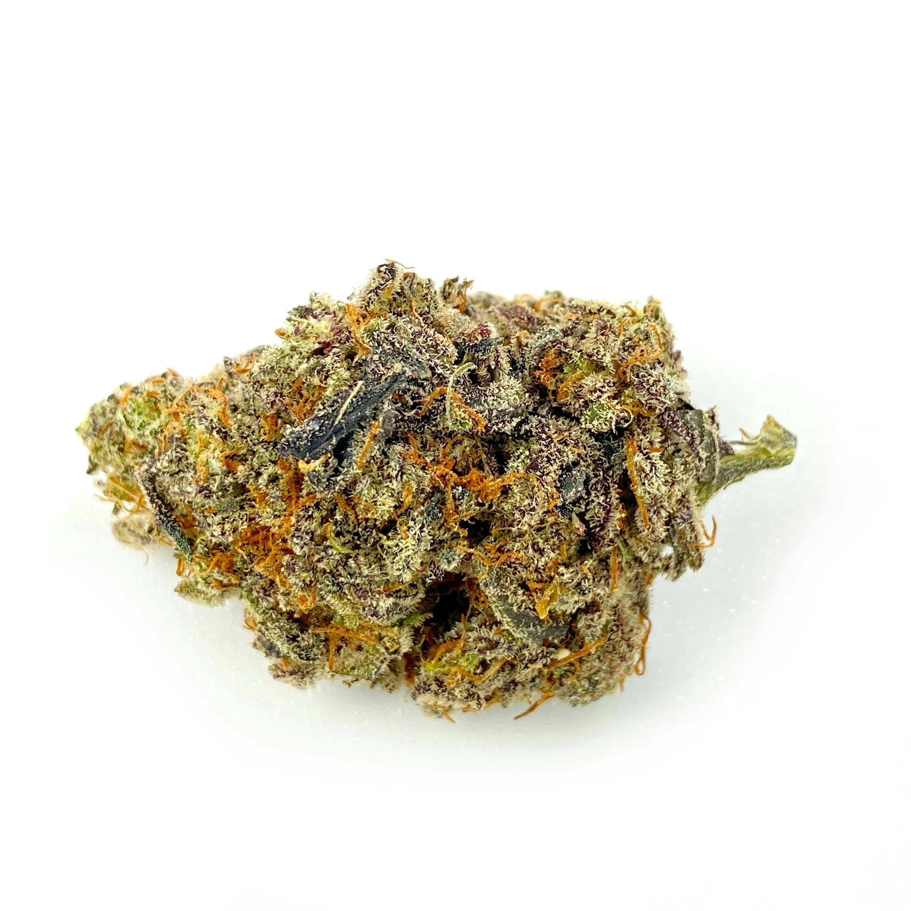 Indico - Rampage - 1