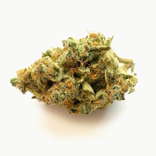 Indico - Lime Drip - 1
