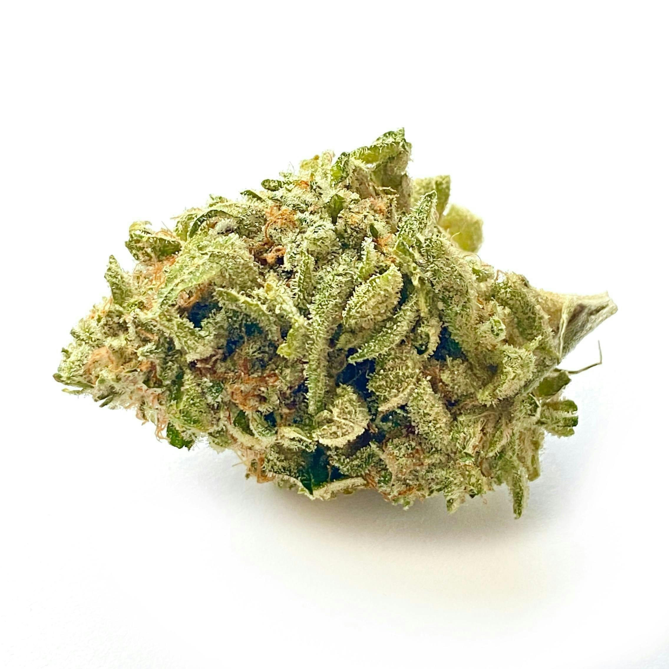 Indico - Cake Batter - 1