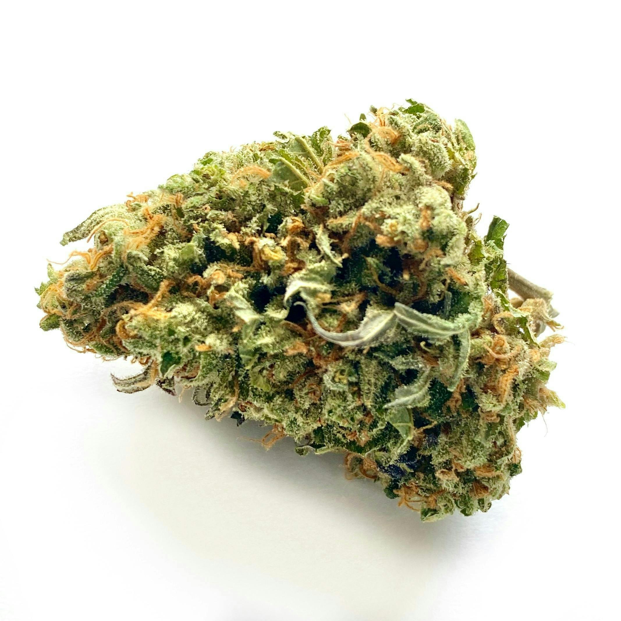 Indico - Sex Grenade - 1