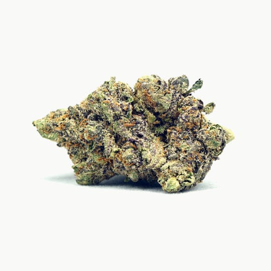 High Tide Organics - Gelato 41 - 1