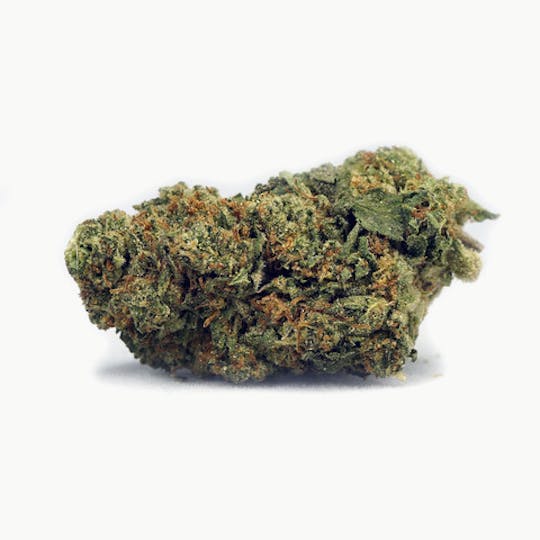 High Tide Organics - GMO - 1