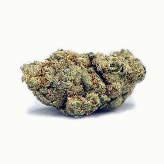 High Tide Organics - Motor Breath - 1