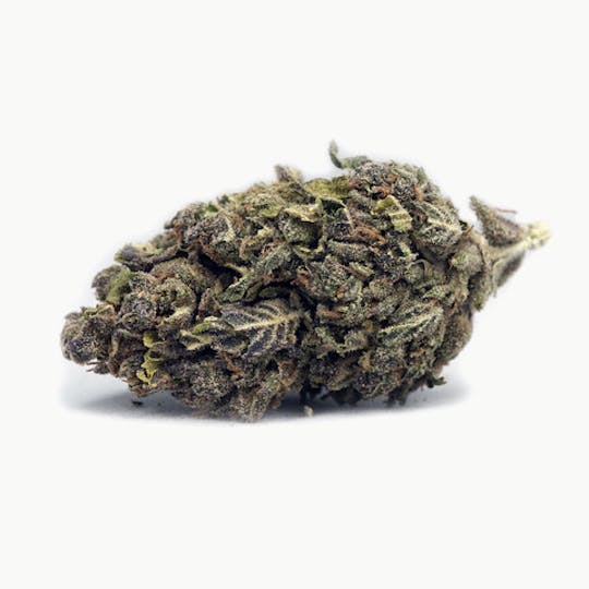High Tide Organics - Venom OG - 1
