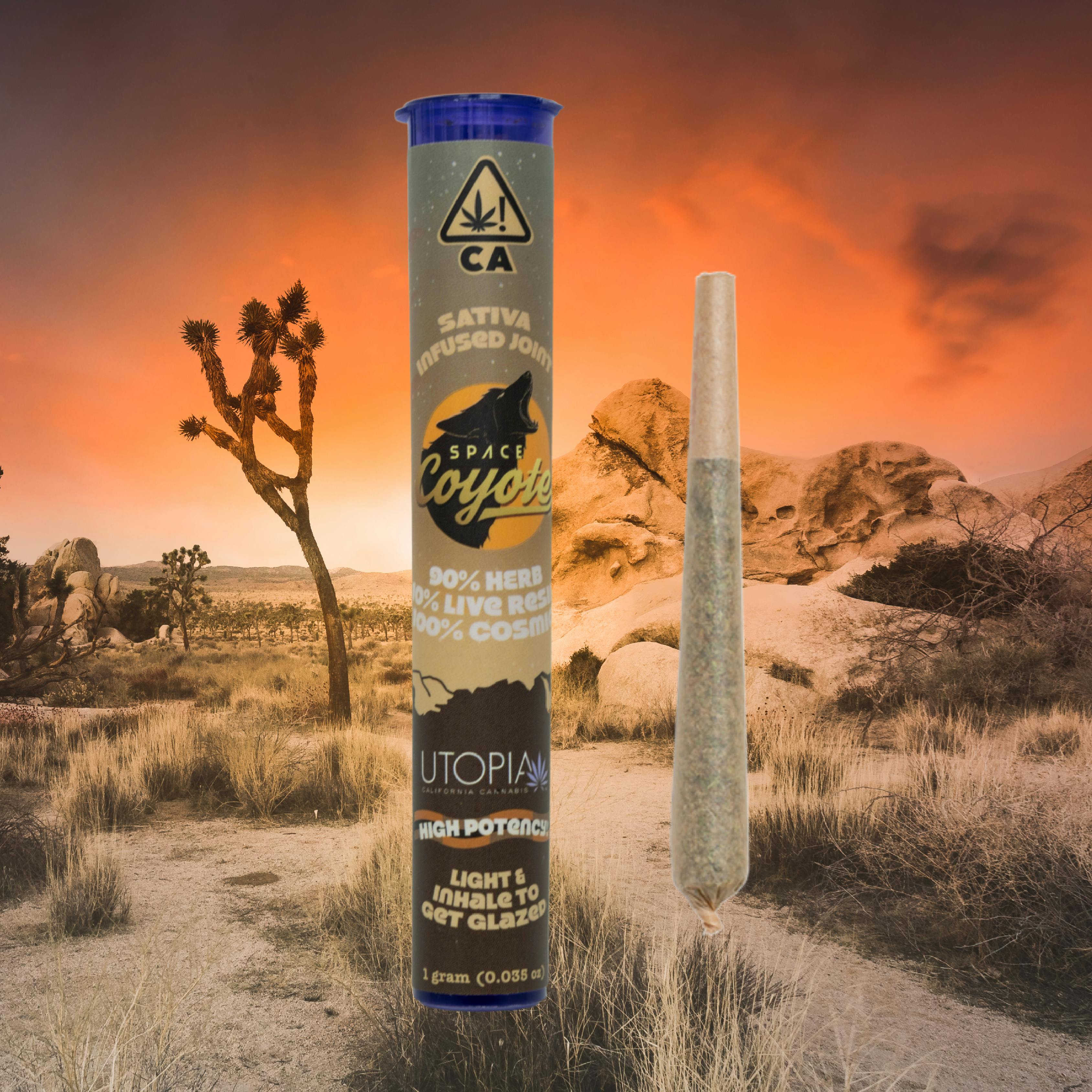 Space Coyote - Space Coyote Sativa Live Resin Joint - 1