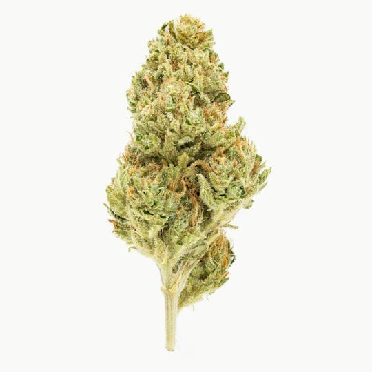Flow Kana - WiFi OG Mini Prerolls - 1