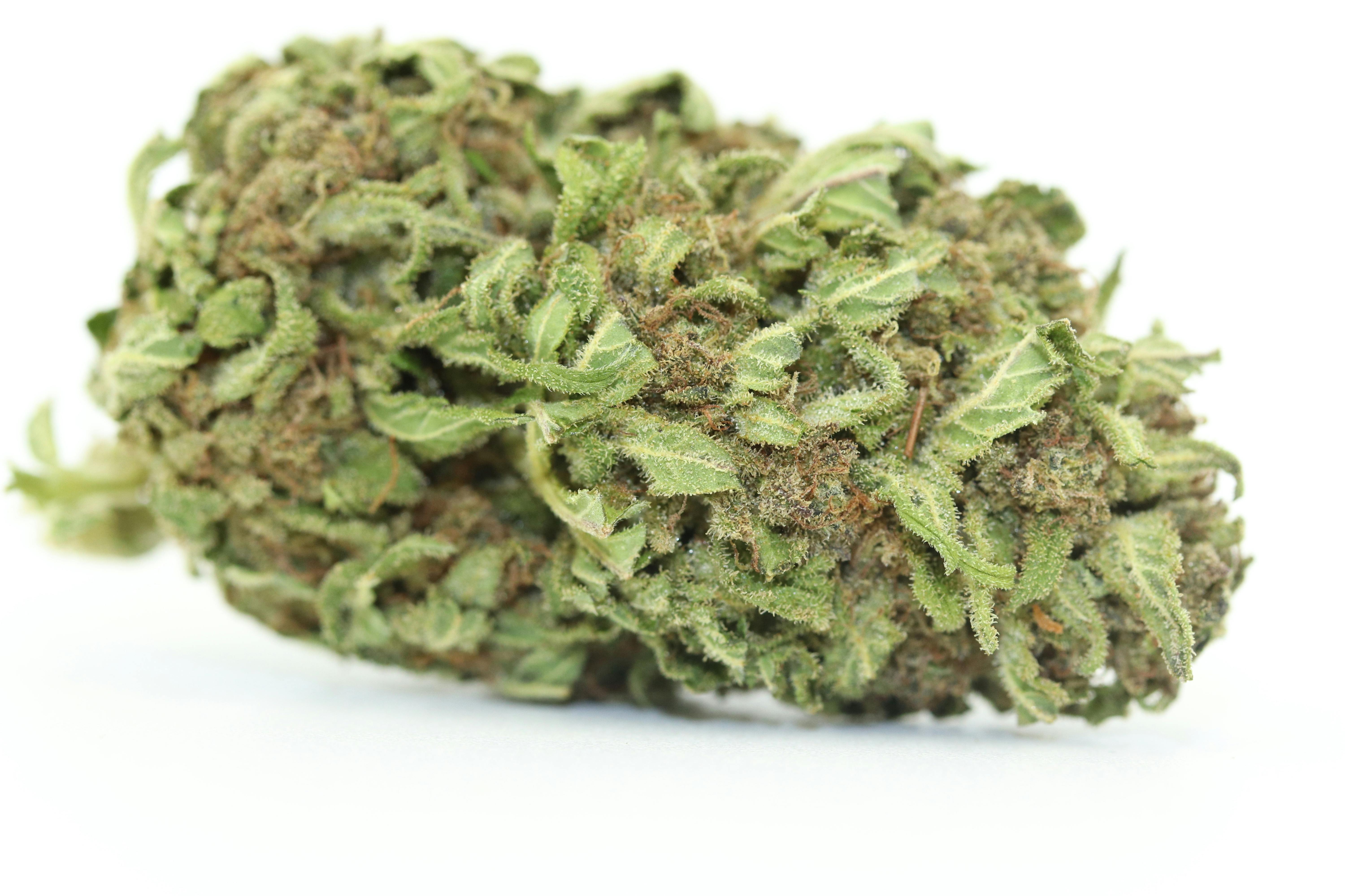 Elevation 207 - Big Bud *Outdoor Special* - 1