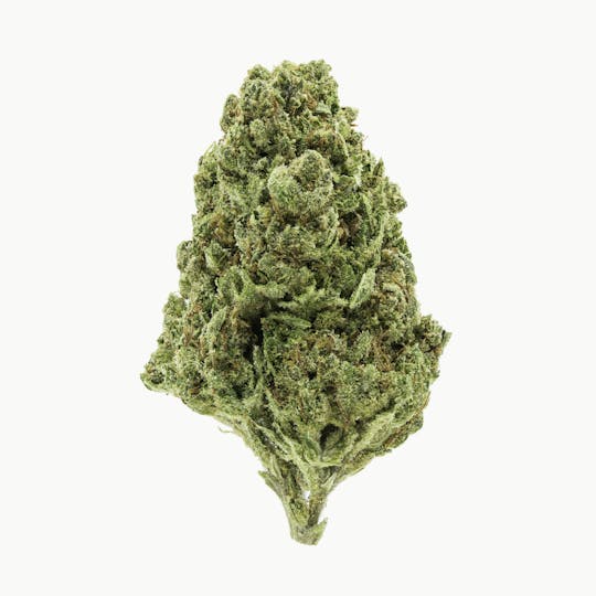 Flow Kana - Orange Creamsicle by Independent Farm | Gold - 1