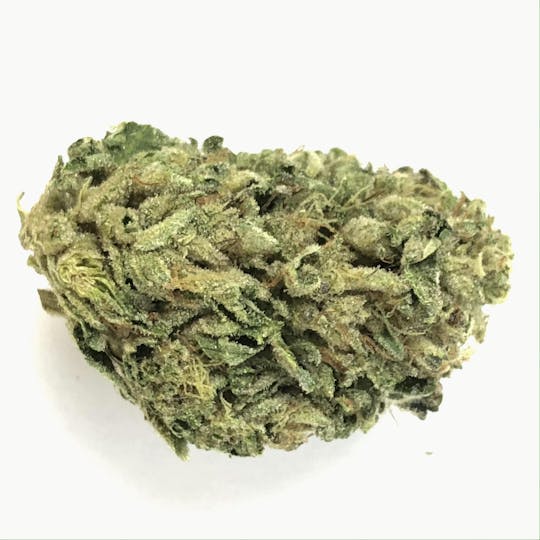 Indico - Wedding Cake - 1