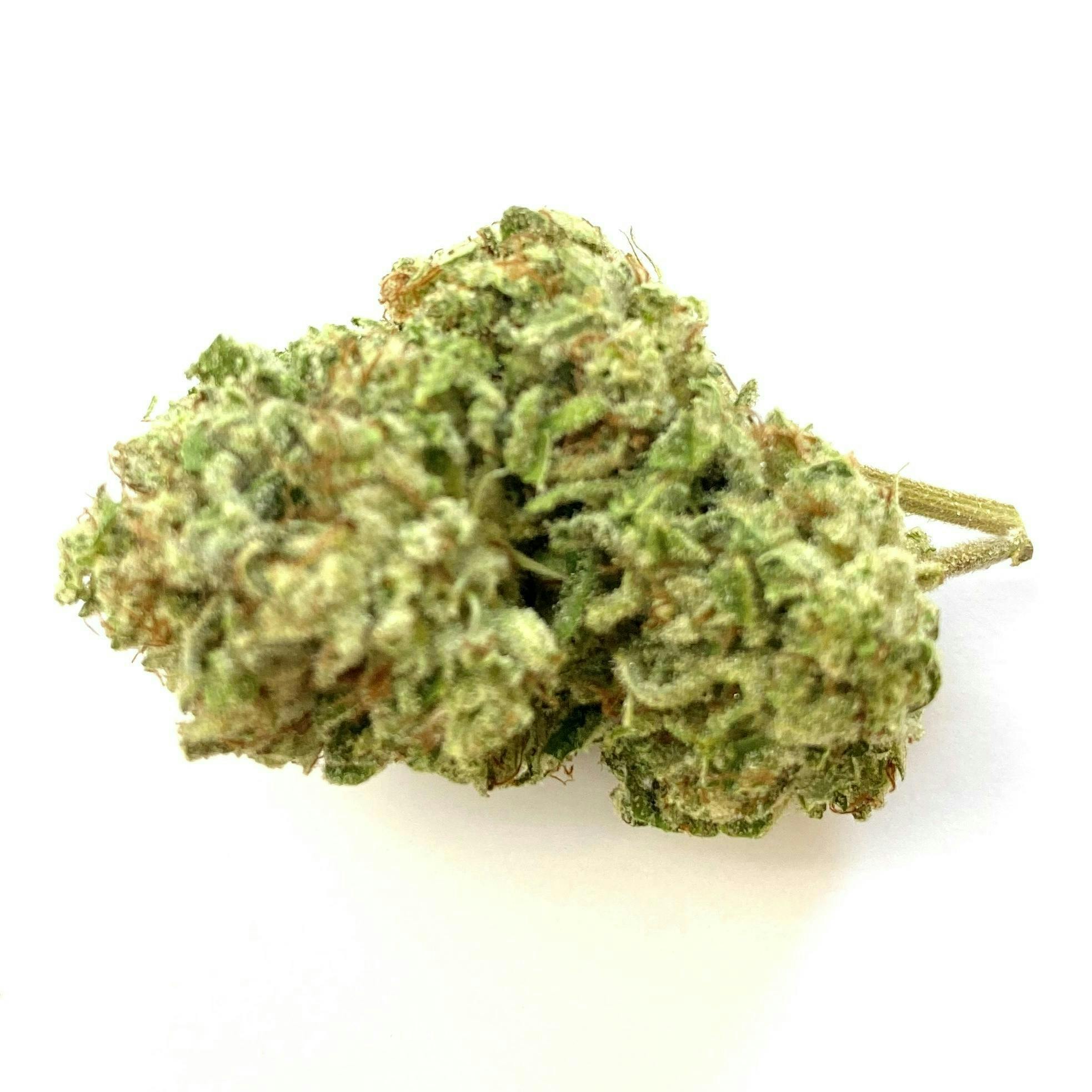 Indico - Inzane in the Membrane - 1