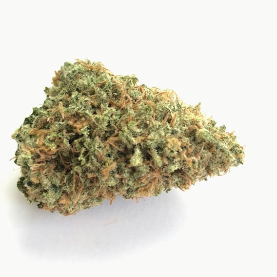 Indico - Lemon OG Haze - 1
