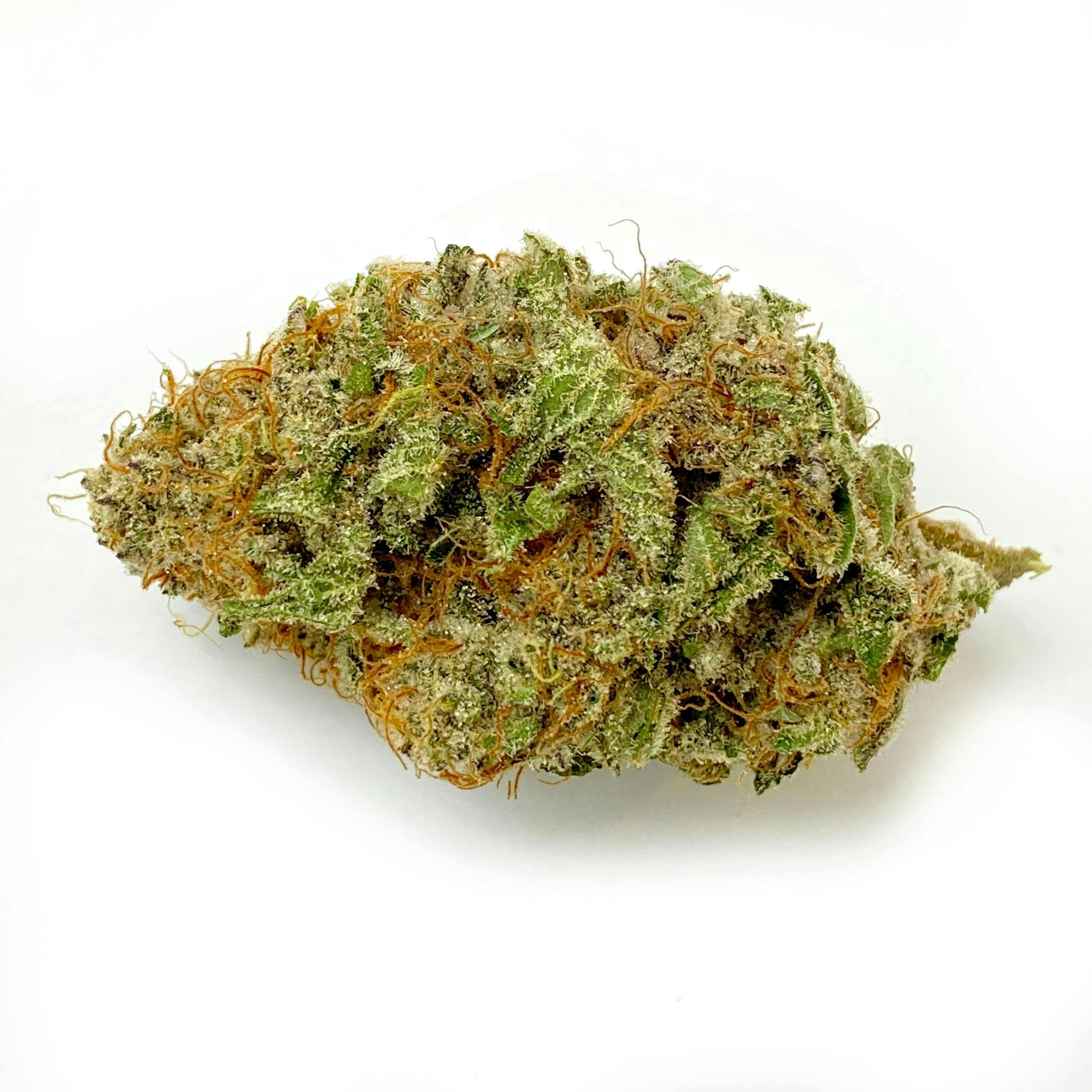 Indico - Lumpy Space Princess - 1