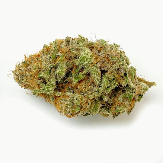 Indico - Lumpy Space Princess - 1