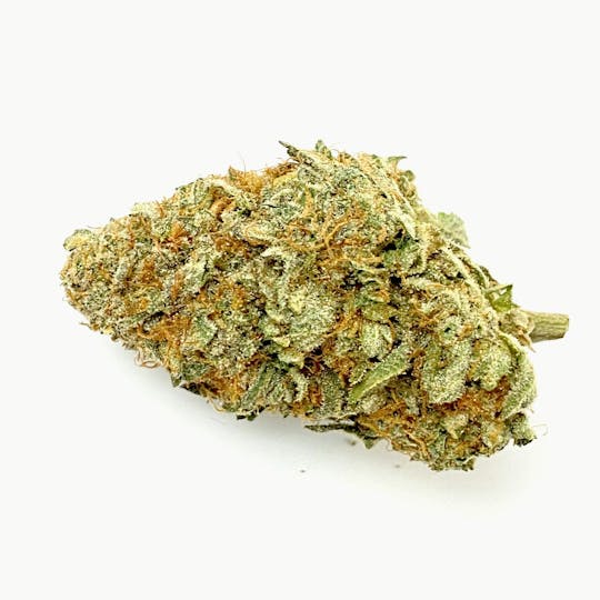 Indico - Westside Creeper - 1