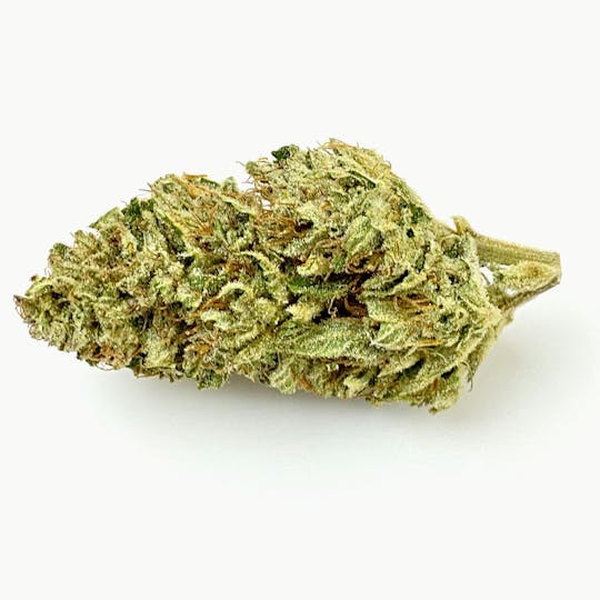 Indico - Cherry Punch - 1