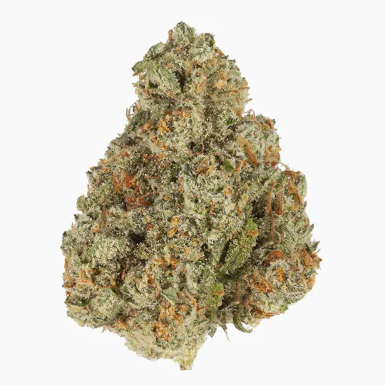 NUG - NUG | Jack Herer | Big Buds | 3.5g - 1