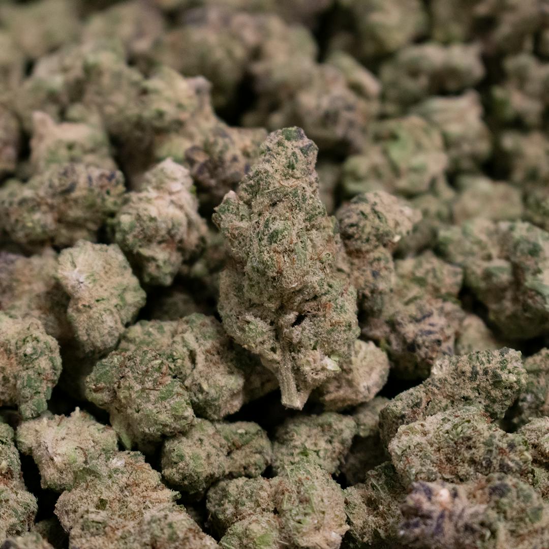 CommCan - M.S.L. #3 - 1