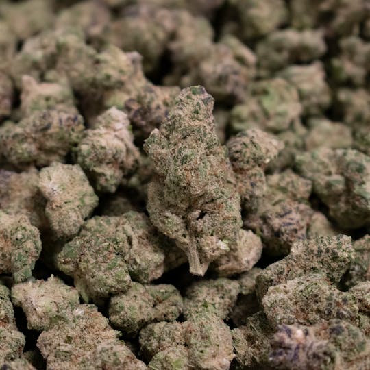 CommCan - M.S.L. #3 - 1