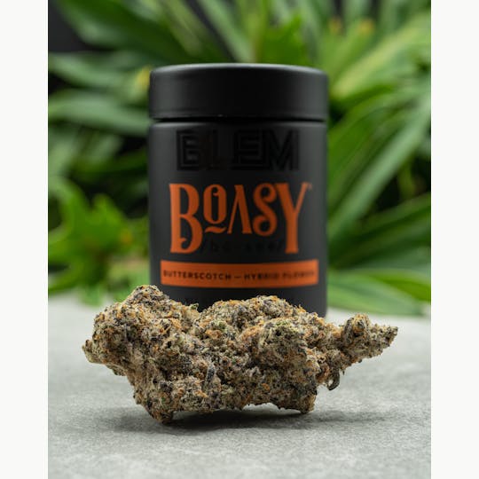 BLEM - BLEM BOASY 3.5g - 1