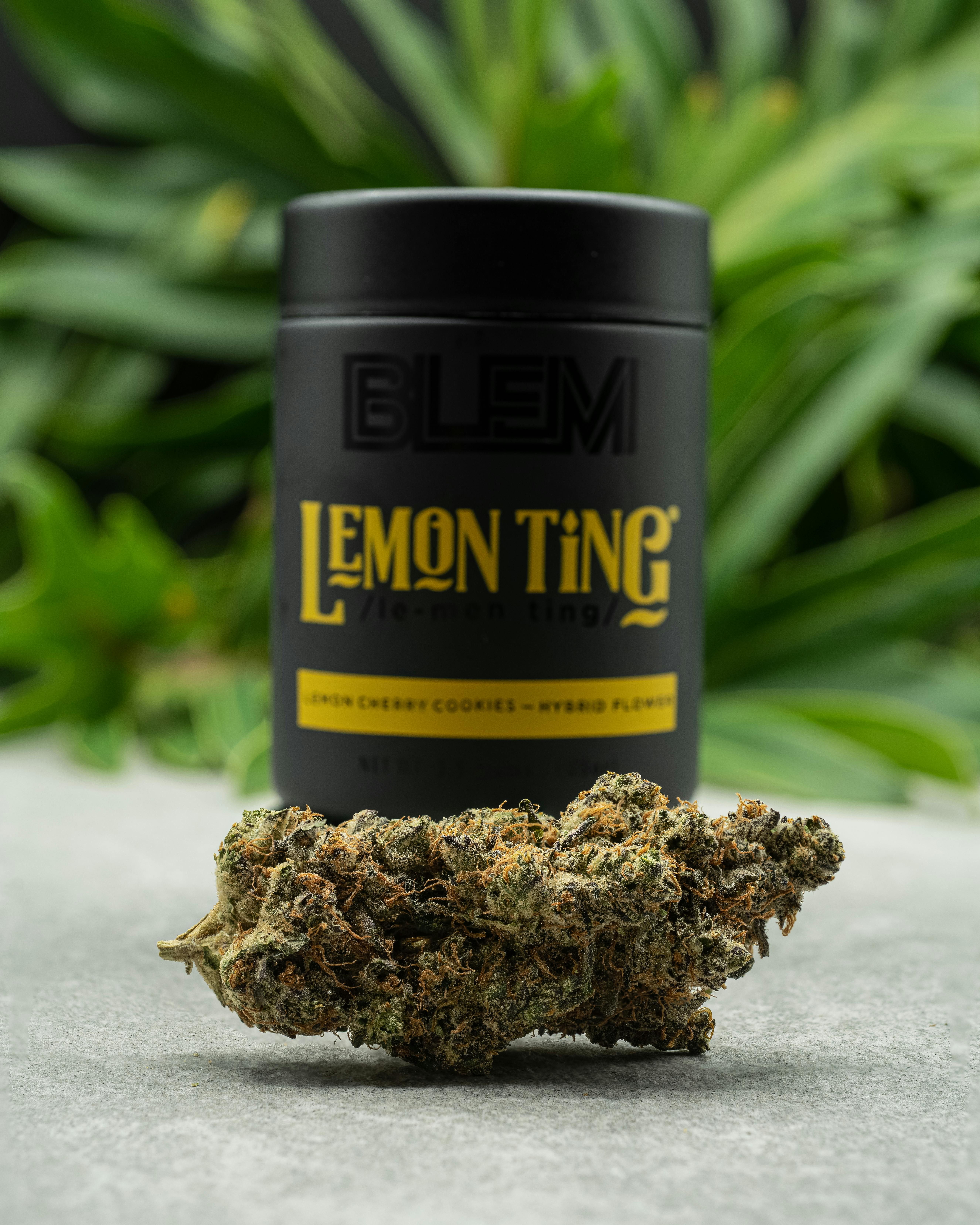 BLEM - BLEM LEMON TING 3.5g - 1