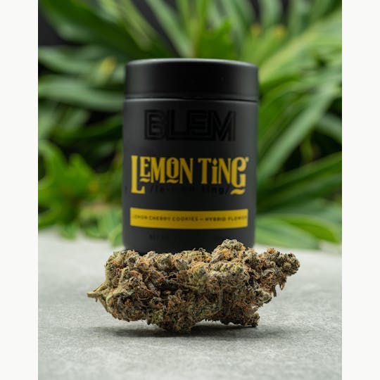 BLEM - BLEM LEMON TING 3.5g - 1