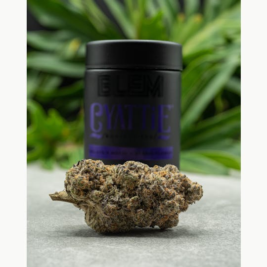 BLEM - BLEM CYATTIE 3.5g - 1